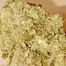 Patient Image of Dispensed Labs CLI T27 Kalifornia Medical Cannabis
