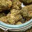 Patient Image of Kasa Verde WCK T29 White Cookies Medical Cannabis
