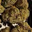 Patient Image of Next Friday MTF T30 Mutant Tyre Fire Medical Cannabis