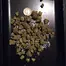 Patient Image of Oceanic Releaf BC T23 Black Cookies Medical Cannabis