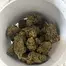 Patient Image of Althea™ T25 Powdered Donuts Medical Cannabis