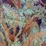 Patient Image of Noidecs T17 Wappa Medical Cannabis