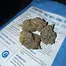 Patient Image of Cookies® C-AB T28 Apples & Bananas Medical Cannabis