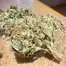 Patient Image of 4C Labs Core PGL T26 Platinum Garlic Medical Cannabis