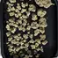 Patient Image of 4C Labs Core SCK T25 Strawberry Cake Medical Cannabis