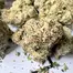 Patient Image of IPS BLU T26 Blunicorn Medical Cannabis