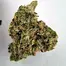 Patient Image of Noidecs T22 Sour Kush Medical Cannabis