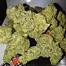 Patient Image of Lot420™ OC T27 Orange Cake Medical Cannabis