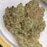 Patient Image of Canopy Growth® KMI T28 Kush Mints Medical Cannabis