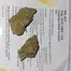 Patient Image of Peace Naturals® SLF T32 Sonic Lemon Fuel Medical Cannabis