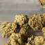 Patient Image of 4C Labs MSN T31 Morning Sun Medical Cannabis