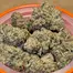 Patient Image of Superseed GLT CCK T30 Gelato Cheesecake Medical Cannabis