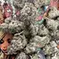 Patient Image of Mamedica® CJ T30 Cap Junky Medical Cannabis