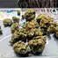 Patient Image of BC Green CAP T30 Cappuccino Medical Cannabis
