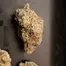 Patient Image of 4C Labs Core MAC T27 Miracle Alien Cookies Medical Cannabis
