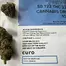 Patient Image of Curo® SB T22 Superboof Medical Cannabis