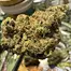 Patient Image of Lot420™ GLOC T28 Gelato Orange Cake Medical Cannabis