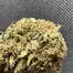 Patient Image of Mystery Mountain™ TBG MNG T8:C10 The Big Mango Medical Cannabis