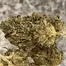 Patient Image of Medi GR T20 Golden Runtz Medical Cannabis