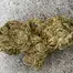 Patient Image of Medi GR T20 Golden Runtz Medical Cannabis