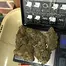 Patient Image of Green Karat LM T27 London Marker Medical Cannabis