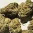 Patient Image of Kasa Verde WCK T29 White Cookies Medical Cannabis