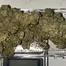 Patient Image of Khiron HK T20 Hindu Kush Medical Cannabis