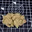 Patient Image of Grow® Pharma FC T22 French Cookies Medical Cannabis