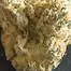 Patient Image of Craft Botanics® GGA T32 GMO Grape Ape Medical Cannabis