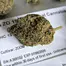 Patient Image of PharmaServ ZO T19 Zoom Medical Cannabis