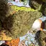 Patient Image of Common Roots MW T25 Maui Wowie Medical Cannabis