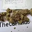 Patient Image of Green Joÿ MFL T26 Mango Fuel Medical Cannabis