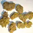 Patient Image of IPS SCP T21 Sherb Cream Pie Medical Cannabis