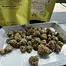 Patient Image of Next Friday BF T24 Blueberry Fuego Medical Cannabis