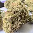 Patient Image of IPS DZ T26 Dirty Zest Medical Cannabis
