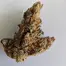 Patient Image of Dalgety KBQ T27 Korean BBQ Medical Cannabis
