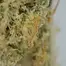 Patient Image of Plantations Cérès MAK T25 Mango K Medical Cannabis