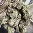 Patient Image of Humble Bud SC Smalls T25 Sticky Cake Medical Cannabis
