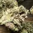 Patient Image of Lot420™ ROR T26-T28 Ripped Off Runtz Medical Cannabis