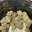 Patient Image of CannFX Mochi T28 Mochi Gelato Medical Cannabis