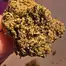 Patient Image of 4C Labs Premium DBT T31 Donkey Butter Medical Cannabis