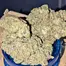 Patient Image of Papers™ YC T29 Yoda Cap Medical Cannabis