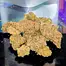 Patient Image of PharmaServ OMG T26 O.M.G. Burger Medical Cannabis