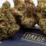 Patient Image of Dalgety KBQ T27 Korean BBQ Medical Cannabis