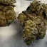 Patient Image of Cannada Craft DI T28 Dante's Inferno #8 Medical Cannabis