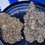 Patient Image of Good Supply Reserve OG T28 OG Kush Breath Medical Cannabis