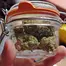 Patient Image of EcoCann Access PNK T23 Pink Cookies Medical Cannabis