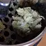 Patient Image of Ostara GC T30 Gas Cake Medical Cannabis