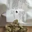 Patient Image of Kiseki MFS T23 Mount Fuji Medical Cannabis
