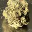 Patient Image of EastCann SP T31 Strawberry Pavé Medical Cannabis